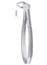  Fig. 33 lower roots 