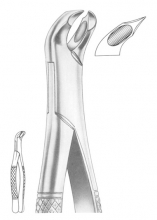  Fig. 345/90 upper molars left