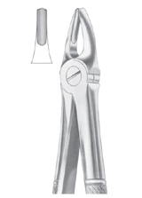 Fig.2 Upper Laterals & Canines