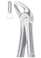  Fig. 4 upper incisors & canines