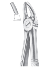  Fig. 7 upper premolars