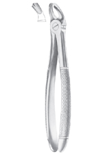  Fig. 20 upper third molars