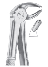  Fig. 23 lower molars right