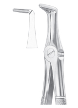  Fig. 45 lower roots