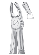  Fig. 65R upper molars right