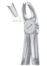  Fig. 65L upper molars left