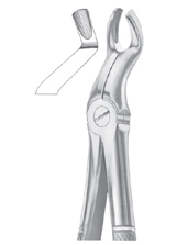  Fig. 67A upper third molars