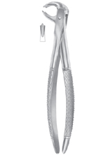  Fig. 73A lower molars 