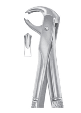  Fig. 73B lower molars for children