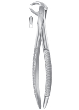  Fig. 73K lower molars for children