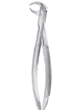  Fig. 86A lower molars 