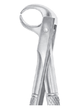  Fig. 86C lower molars 