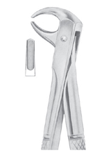  Fig. 106 lower incisors