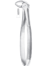  HERTZ (Fig. 211) lower incisors 