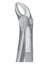  Fig. 5  