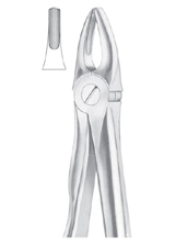  Fig. 2 upper laterals and canines