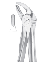  Fig. 4 lower incisors and canines