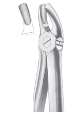  Fig. 18B upper molars