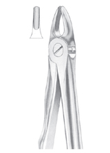  Fig. 37 upper incisors for children