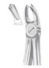  Fig. 65R upper molars right