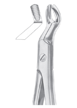  Fig. 67 upper third molars