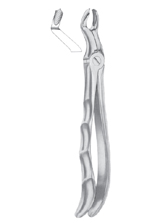  Fig. 67 ½ R upper third molars right