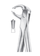  Fig.  73 lower molars