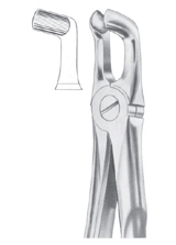  Fig.  76A lower third molars