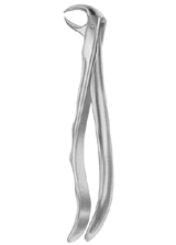  Fig.  86A lower molars