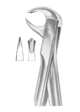  Fig.  99 1/4 lower molars