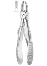  KLEIN (Fig.  217) upper incisors