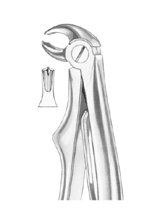  KLEIN (Fig.  222) lower molars