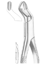  Fig. 10S upper molars