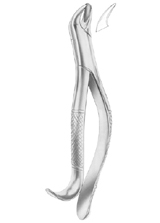  Fig. 20R upper molars right