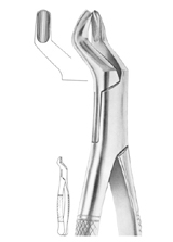  Fig. 53L upper molars left