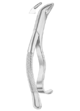  Fig. 103 lower incisors,  premolars