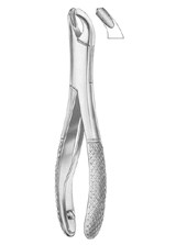  Fig. 360/17SK lower molars