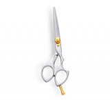 Professional Hair Cutting Scissor