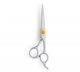 Professional Hair Cutting Scissors