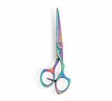 Professional Hair Cutting Scissor